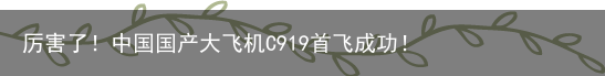 厉害了！中国国产大飞机C919首飞成功！