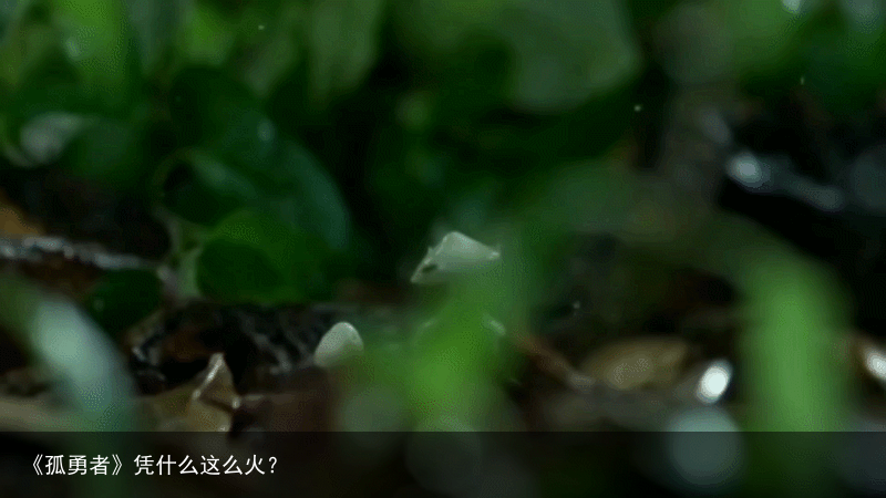 《孤勇者》凭什么这么火？