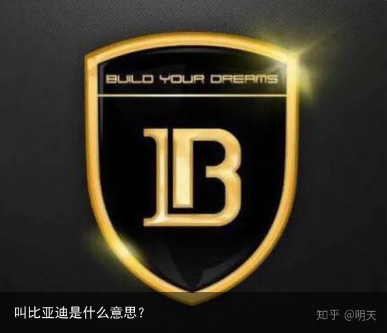 叫比亚迪是什么意思？