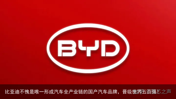 比亚迪不愧是唯一形成汽车全产业链的国产汽车品牌，晋级世界五百强！