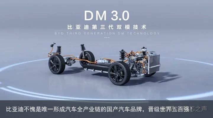 比亚迪不愧是唯一形成汽车全产业链的国产汽车品牌，晋级世界五百强！