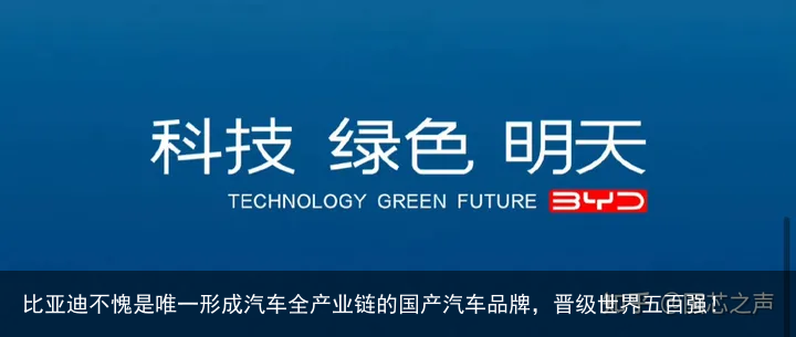 比亚迪不愧是唯一形成汽车全产业链的国产汽车品牌，晋级世界五百强！
