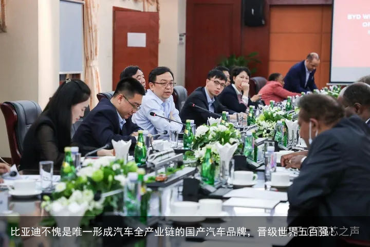 比亚迪不愧是唯一形成汽车全产业链的国产汽车品牌，晋级世界五百强！