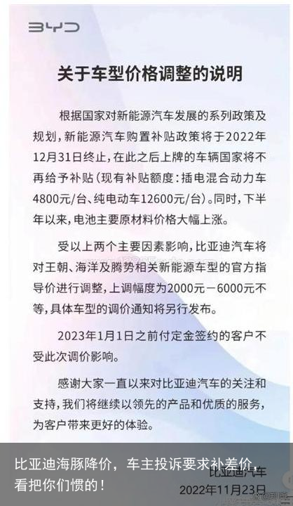 比亚迪海豚降价，车主投诉要求补差价，看把你们惯的！