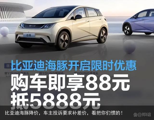 比亚迪海豚降价，车主投诉要求补差价，看把你们惯的！