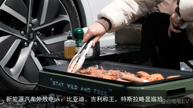 新能源汽车外放电pk：比亚迪、吉利称王，特斯拉略显尴尬