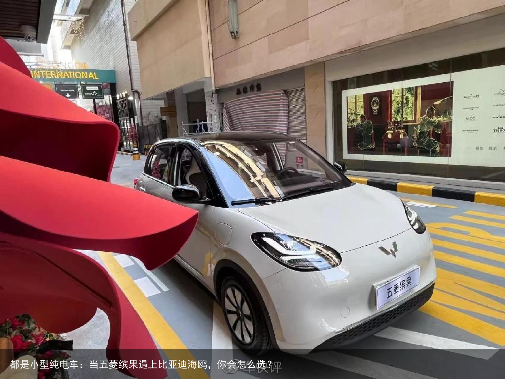 都是小型纯电车：当五菱缤果遇上比亚迪海鸥，你会怎么选？