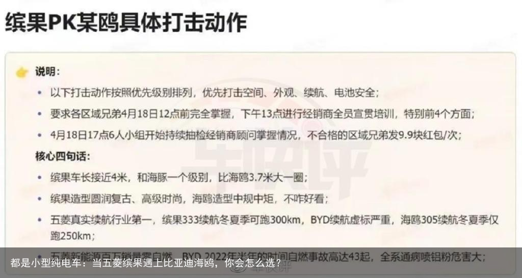 都是小型纯电车：当五菱缤果遇上比亚迪海鸥，你会怎么选？