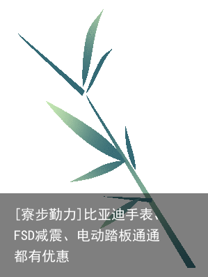 [寮步勤力]比亚迪手表、FSD减震、电动踏板通通都有优惠