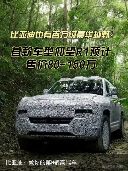 比亚迪：做你的第N辆高端车