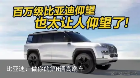 比亚迪：做你的第N辆高端车