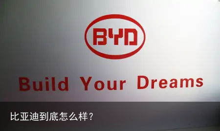 比亚迪到底怎么样？