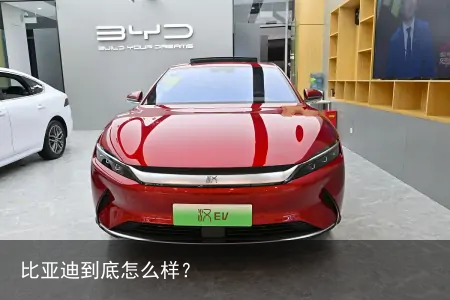 比亚迪到底怎么样？
