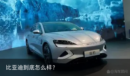 比亚迪到底怎么样？