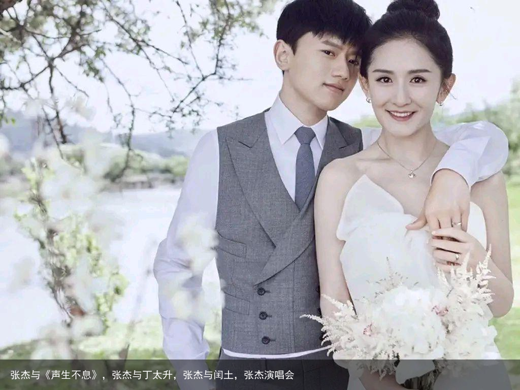 张杰与《声生不息》，张杰与丁太升，张杰与闰土，张杰演唱会