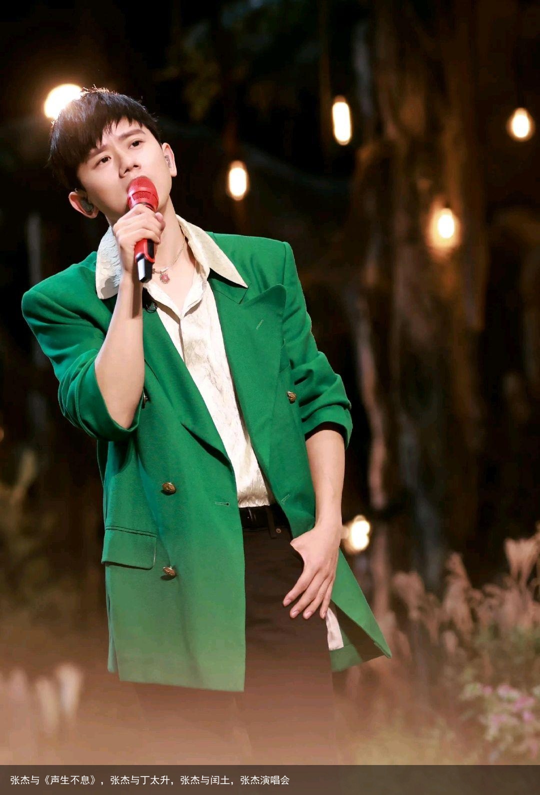 张杰与《声生不息》，张杰与丁太升，张杰与闰土，张杰演唱会