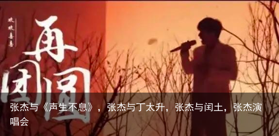 张杰与《声生不息》，张杰与丁太升，张杰与闰土，张杰演唱会