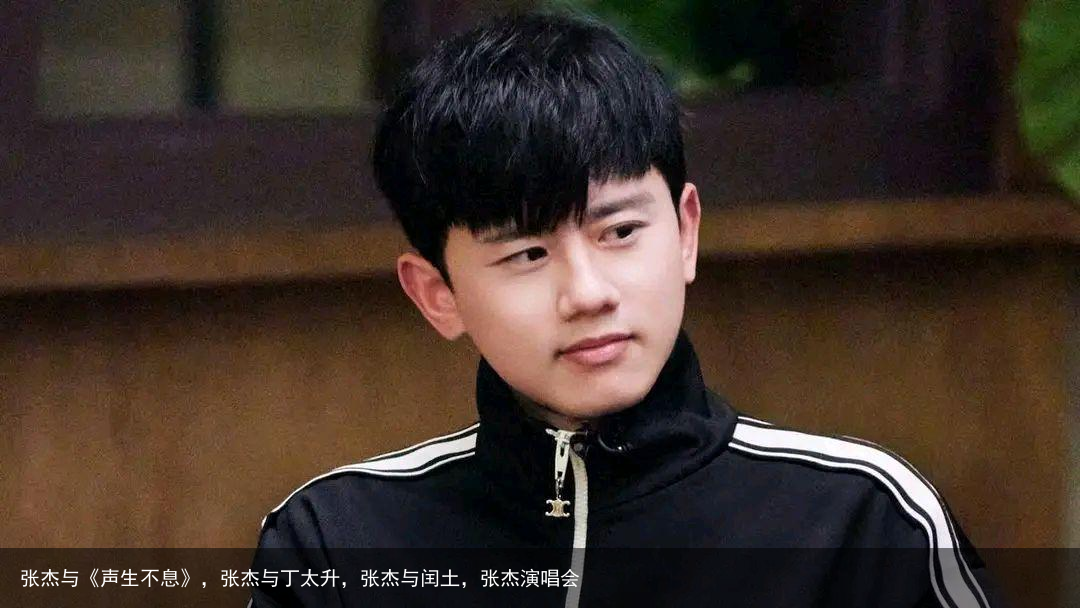 张杰与《声生不息》，张杰与丁太升，张杰与闰土，张杰演唱会