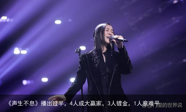 《声生不息》播出过半，4人成大赢家，3人镀金，1人意难平