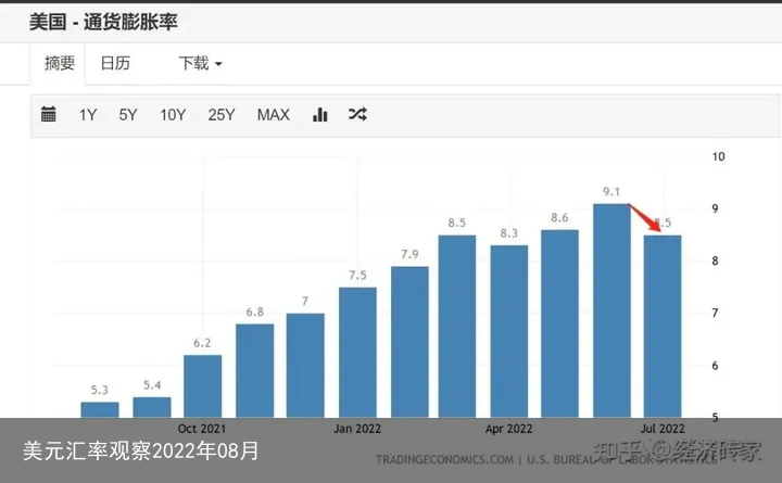 美元汇率观察2022年08月