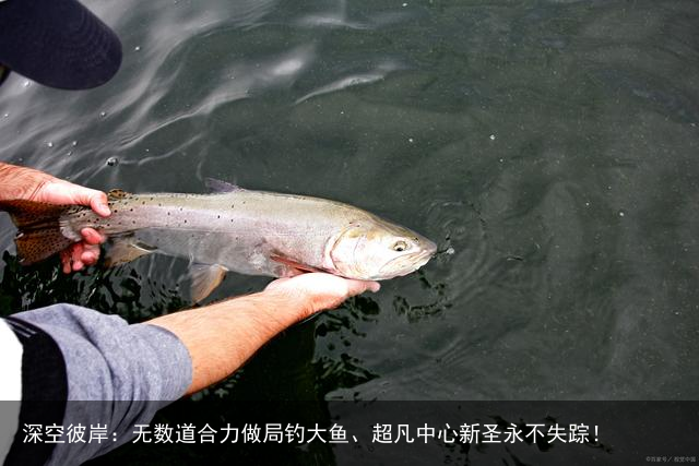 深空彼岸：无数道合力做局钓大鱼、超凡中心新圣永不失踪！