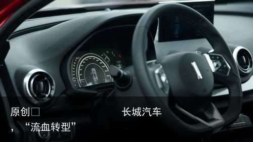 长城汽车，“流血转型”