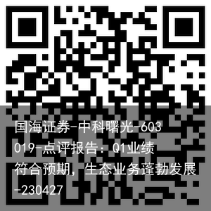 国海证券-中科曙光-603019-点评报告：Q1业绩符合预期，生态业务蓬勃发展-230427