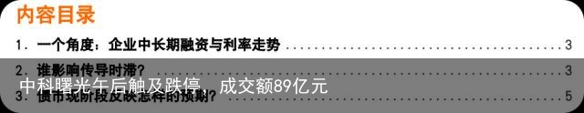 中科曙光午后触及跌停，成交额89亿元