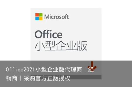 Office2021小型企业版代理商｜经销商｜采购官方正版授权