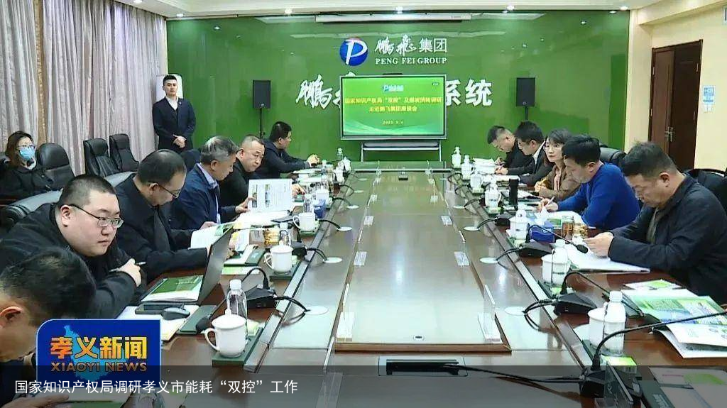 国家知识产权局调研孝义市能耗“双控”工作