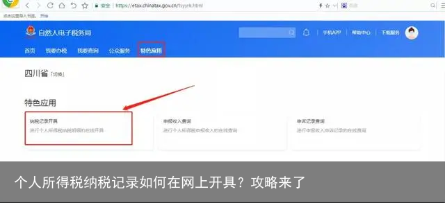 个人所得税纳税记录如何在网上开具？攻略来了
