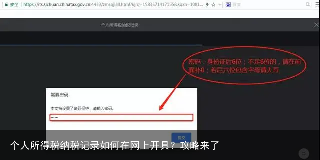 个人所得税纳税记录如何在网上开具？攻略来了