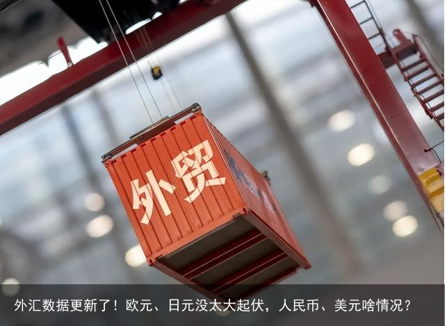 外汇数据更新了！欧元、日元没太大起伏，人民币、美元啥情况？