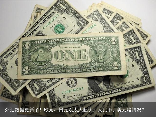 外汇数据更新了！欧元、日元没太大起伏，人民币、美元啥情况？