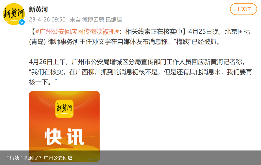 “梅姨”抓到了？广州公安回应
