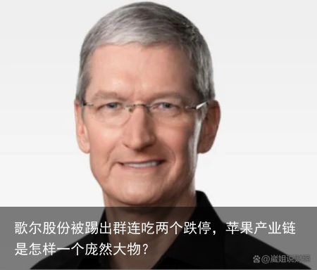 歌尔股份被踢出群连吃两个跌停，苹果产业链是怎样一个庞然大物？