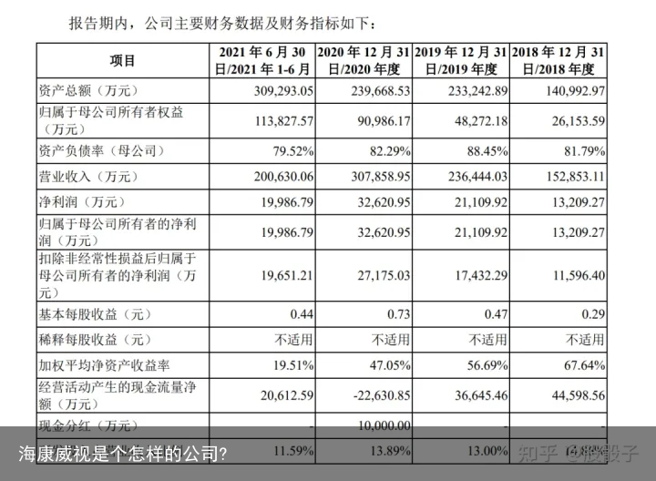 海康威视是个怎样的公司?