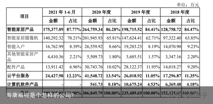 海康威视是个怎样的公司?