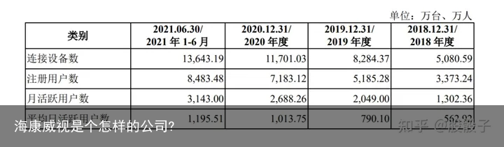 海康威视是个怎样的公司?