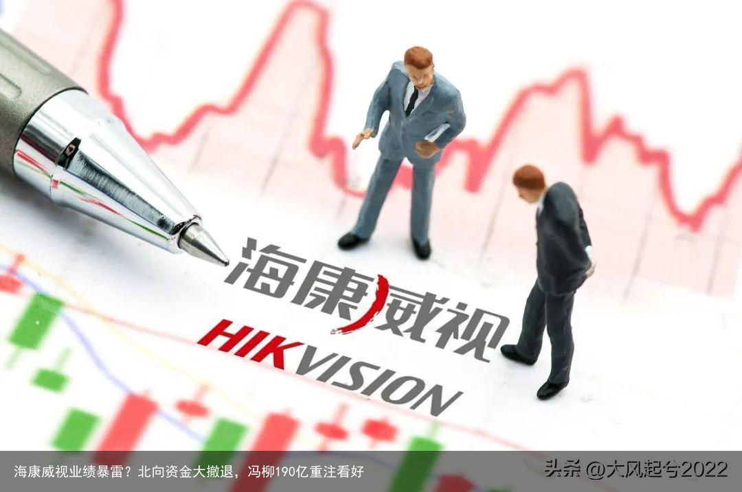 海康威视业绩暴雷？北向资金大撤退，冯柳190亿重注看好