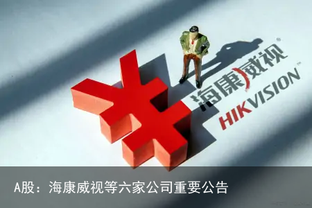A股：海康威视等六家公司重要公告