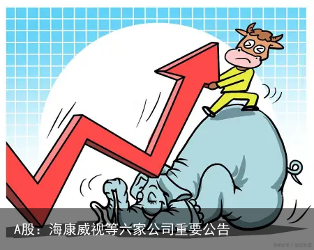 A股：海康威视等六家公司重要公告