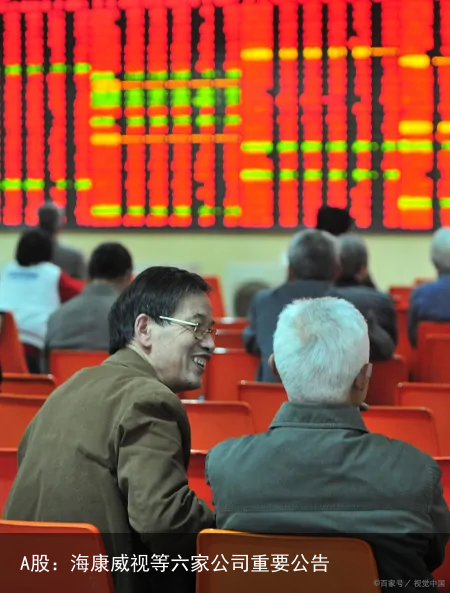 A股：海康威视等六家公司重要公告