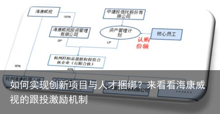 如何实现创新项目与人才捆绑？来看看海康威视的跟投激励机制