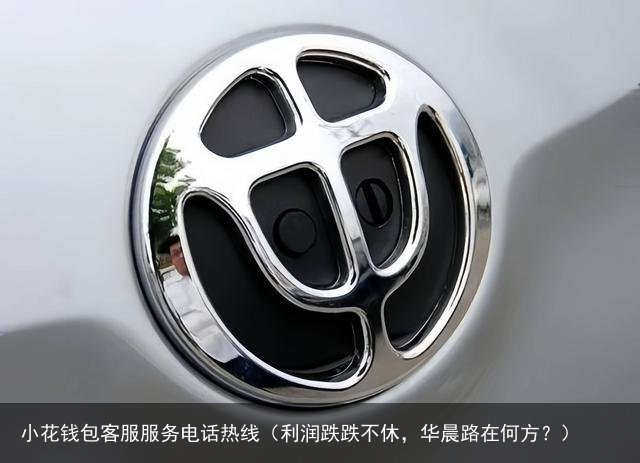 利润跌跌不休，华晨路在何方？