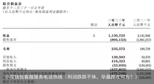 利润跌跌不休，华晨路在何方？