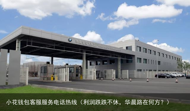利润跌跌不休，华晨路在何方？