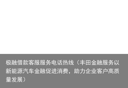 丰田金融服务以新能源汽车金融促进消费，助力企业客户高质量发展
