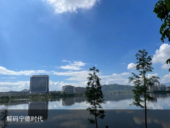 解码宁德时代