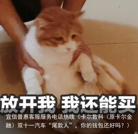 卡尔数科（原卡尔金融）双十一汽车“尾款人”，你的钱包还好吗？